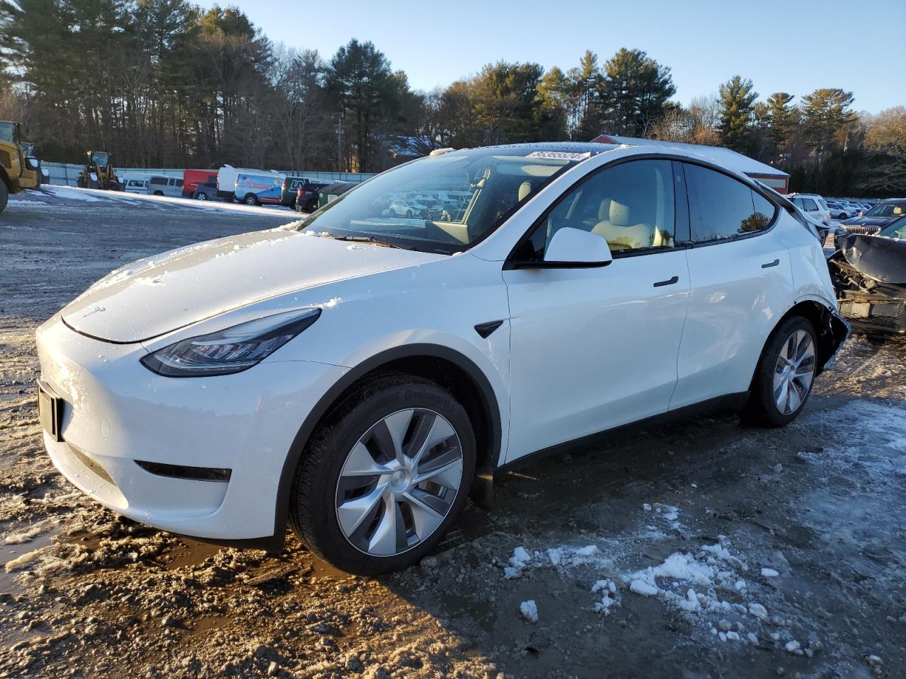 2023 TESLA MODEL Y  VIN:7SAYGDEE5PA129745