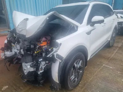 2021 Kia Sorento KNARH81GBNA083565 VIN:KNARH81GBNA083565