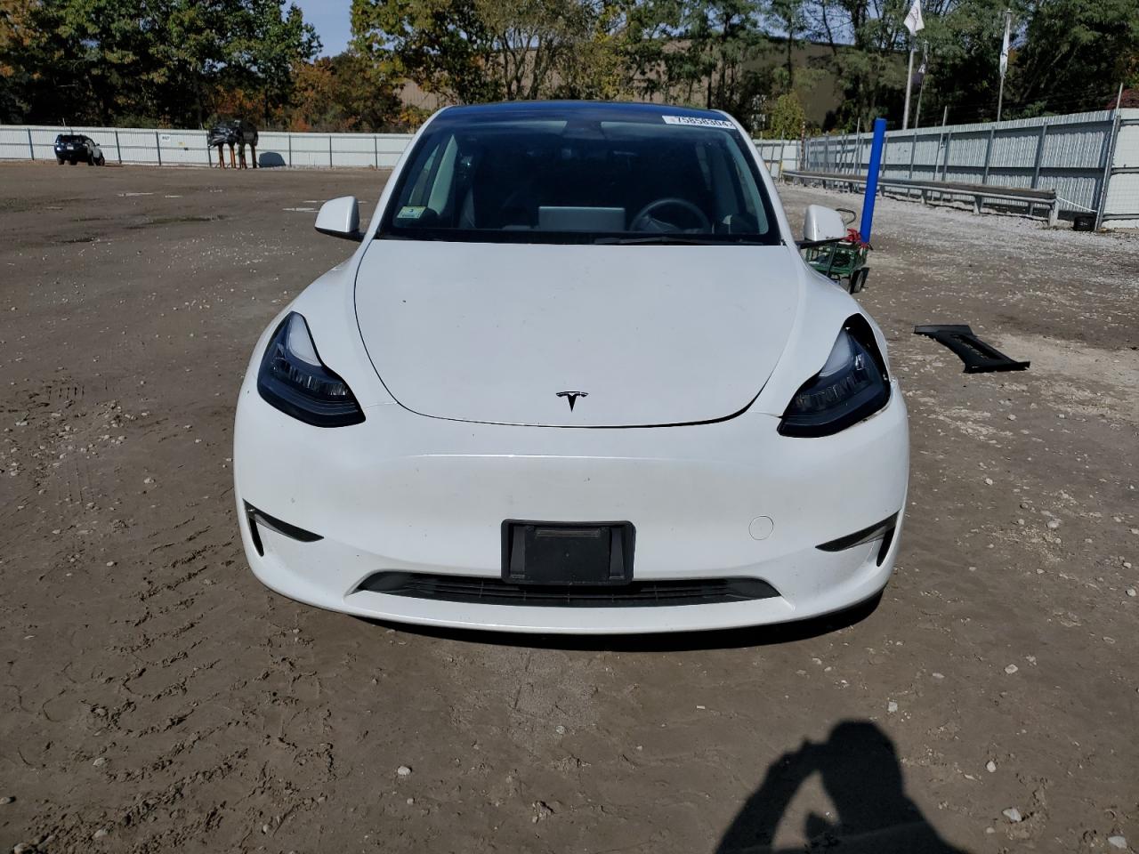 2023 TESLA MODEL Y  VIN:7SAYGDEE6PA077249