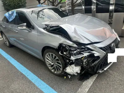 2022 Lexus ES 300 JTHBA1C14N2007480 VIN:JTHBA1C14N2007480