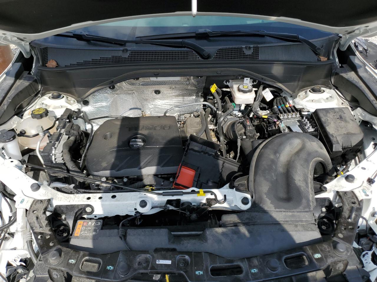 2023 CHEVROLET TRAILBLAZER LT VIN:KL79MRSL0PB028934