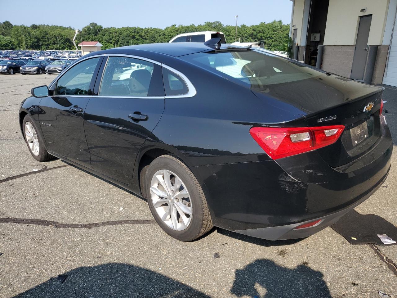 2023 CHEVROLET MALIBU LT VIN:1G1ZD5ST0PF191659