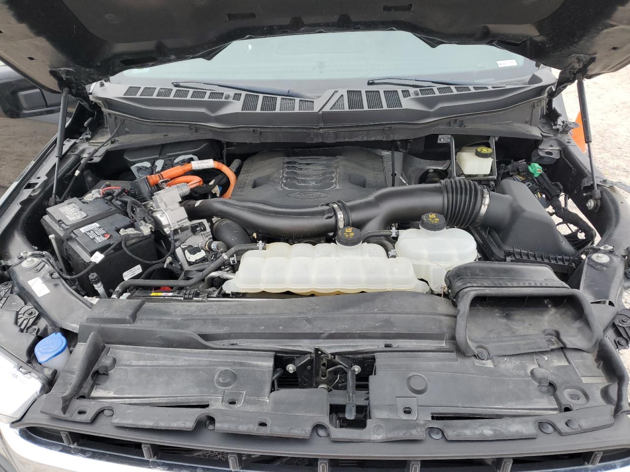 2022 FORD F150 SUPERCREW VIN:1FTFW1ED9NFB19003
