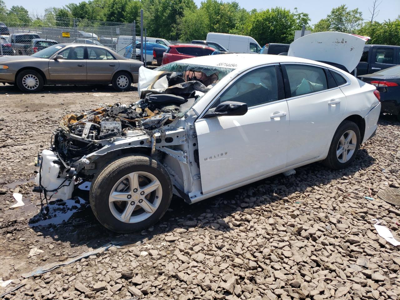 2023 CHEVROLET MALIBU LS VIN:1G1ZC5STXPF156131