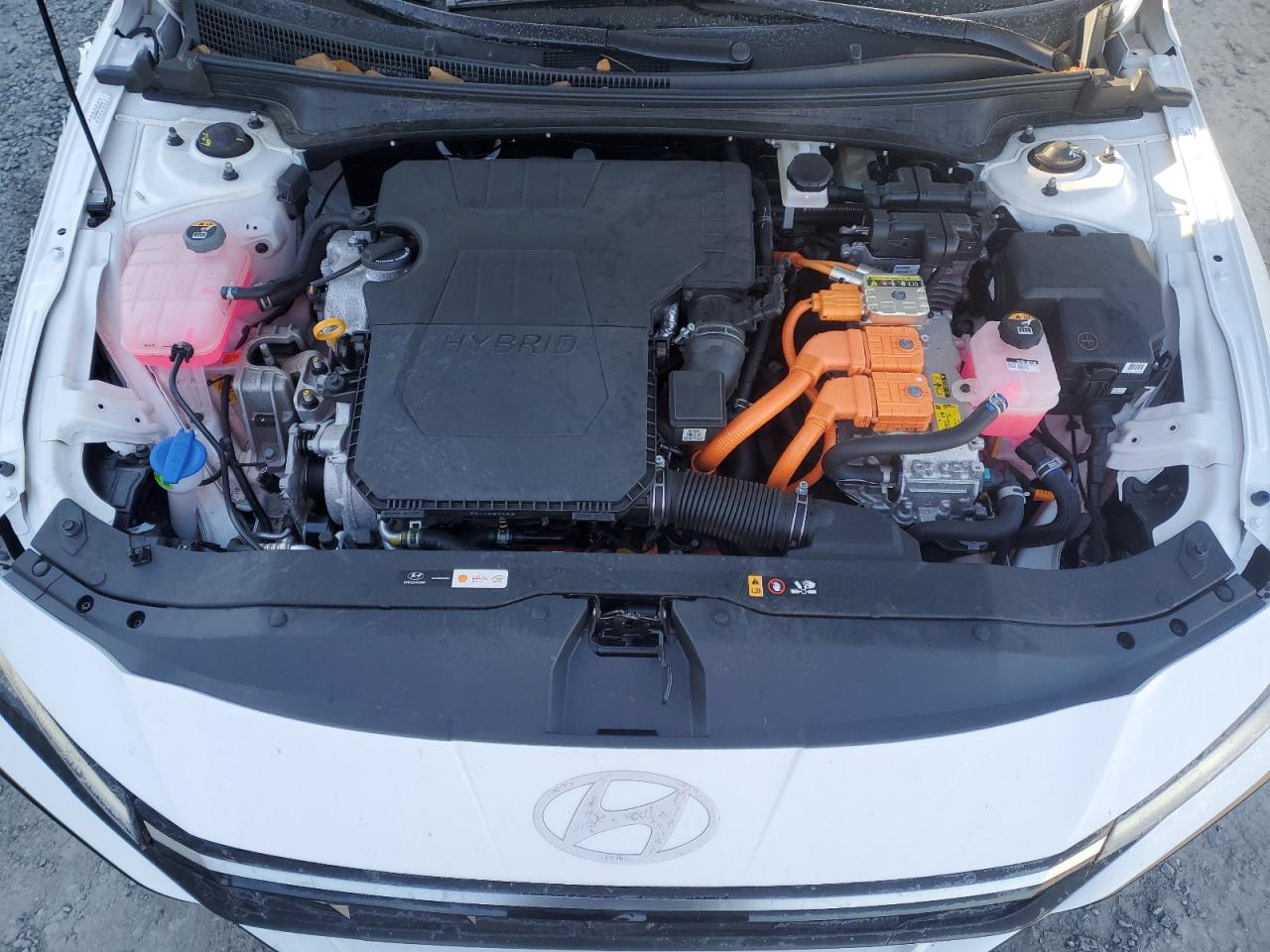 2024 HYUNDAI ELANTRA LIMITED VIN:KMHLN4DJXRU094379