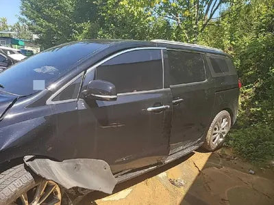 2020 Kia Carnival KNAMC81ABLS658541 VIN:KNAMC81ABLS658541