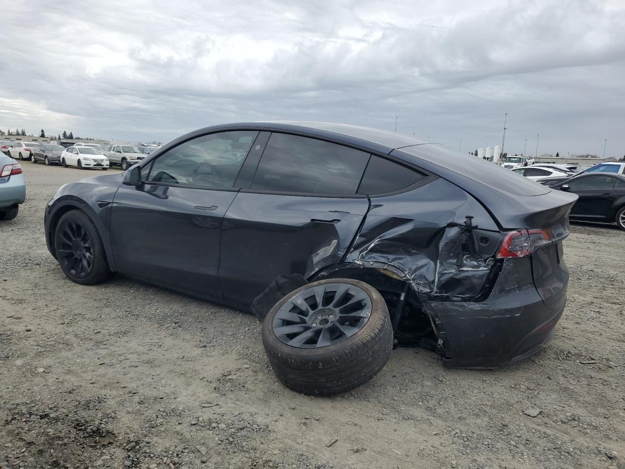 2024 TESLA MODEL Y  VIN:7SAYGDEE5RF073327