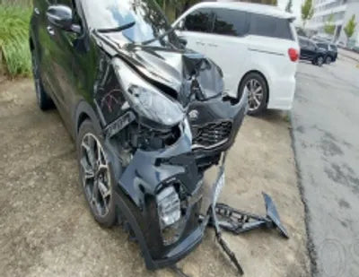 2019 Kia Sportage KNAPR813BKK659787 VIN:KNAPR813BKK659787
