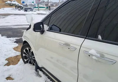 2021 Kia Carnival KNANE81BBMS017834 VIN:KNANE81BBMS017834