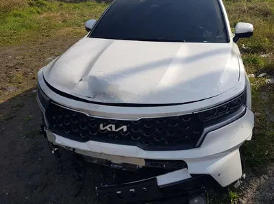 2021 Kia Sorento KNARK81BHNA133310 VIN:KNARK81BHNA133310