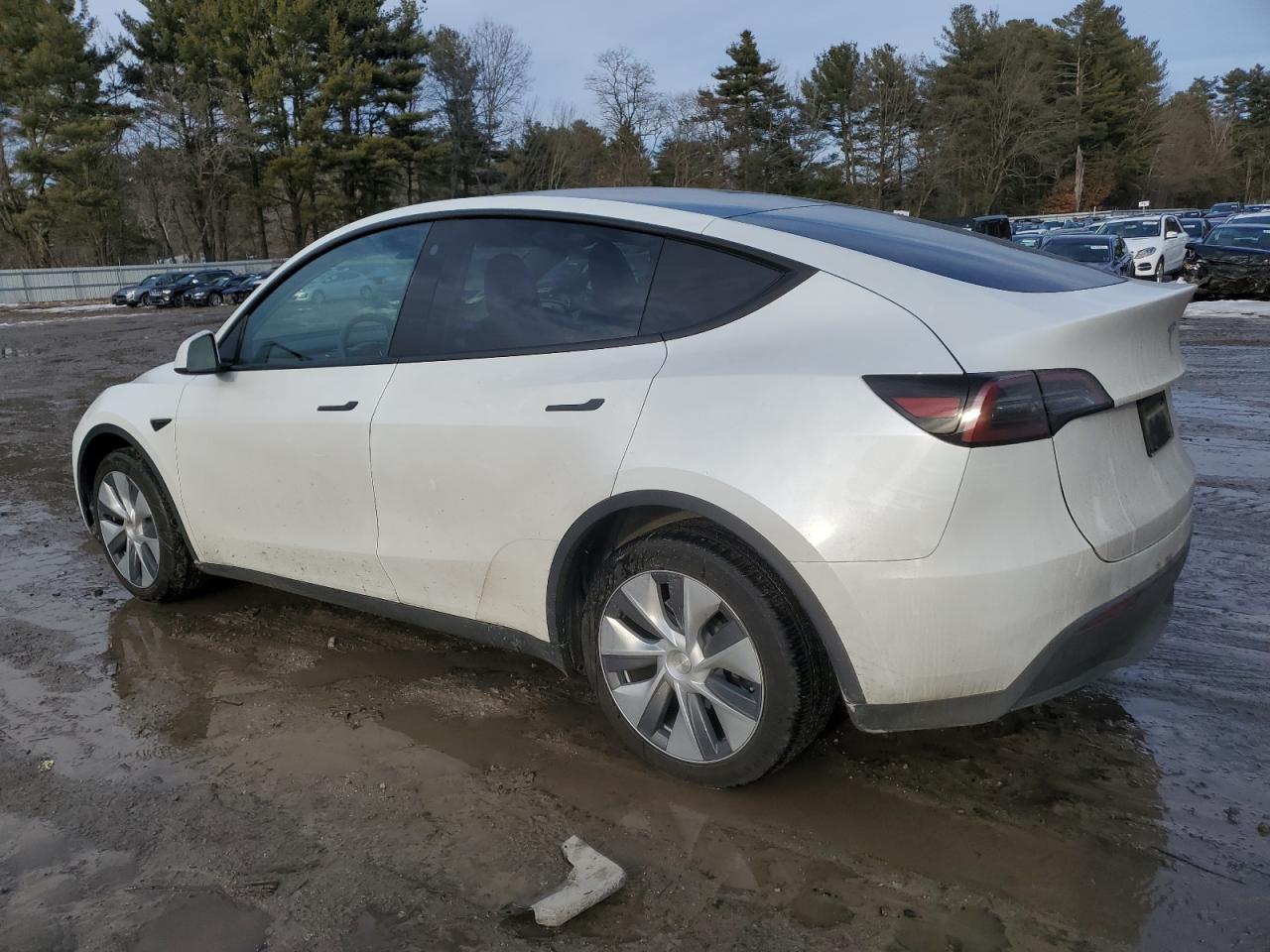 2023 TESLA MODEL Y  VIN:7SAYGDEE0PA116790