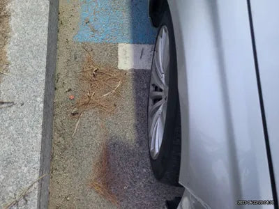 2016 BMW 730 WBA7G6105GG678978 VIN:WBA7G6105GG678978