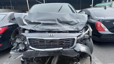 2015 Kia Carnival KNAME81ABGS173765 VIN:KNAME81ABGS173765