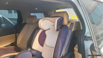 2021 Kia Carnival KNANE81BBMS067503 VIN:KNANE81BBMS067503
