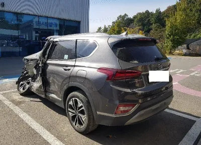 2019 Hyundai Santa FE KMHS381BDKU173046 VIN:KMHS381BDKU173046