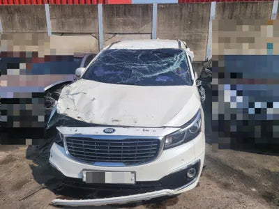 2017 Kia Carnival KNAMB81ABJS383010 VIN:KNAMB81ABJS383010