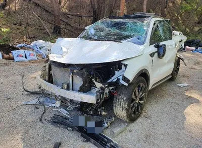 2022 Kia Sorento KNARM81FHNA155884 VIN:KNARM81FHNA155884