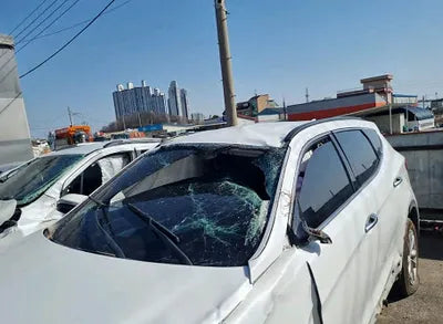 2018 Hyundai Santa FE KMHSW81UBJU791337 VIN:KMHSW81UBJU791337