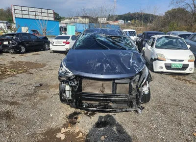 2016 Hyundai Santa FE KMHSW81UBGU561890 VIN:KMHSW81UBGU561890