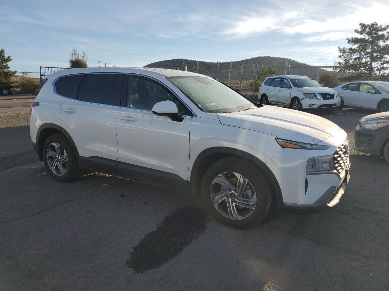 2023 HYUNDAI SANTA FE SE VIN:5NMS14AJ6PH657903