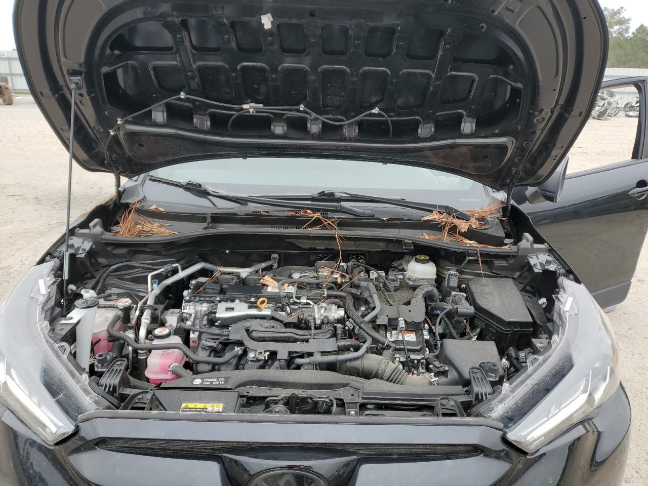 2023 TOYOTA COROLLA CROSS LE VIN:7MUFBABG7PV015516