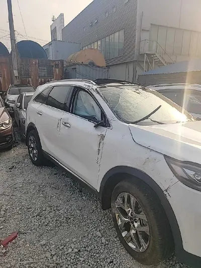 2019 Kia Sorento KNAPH81BBLA612488 VIN:KNAPH81BBLA612488