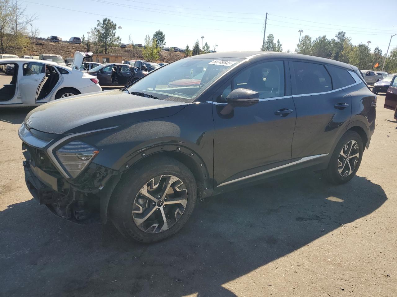 2024 KIA SPORTAGE EX VIN:5XYK33DF4RG188111