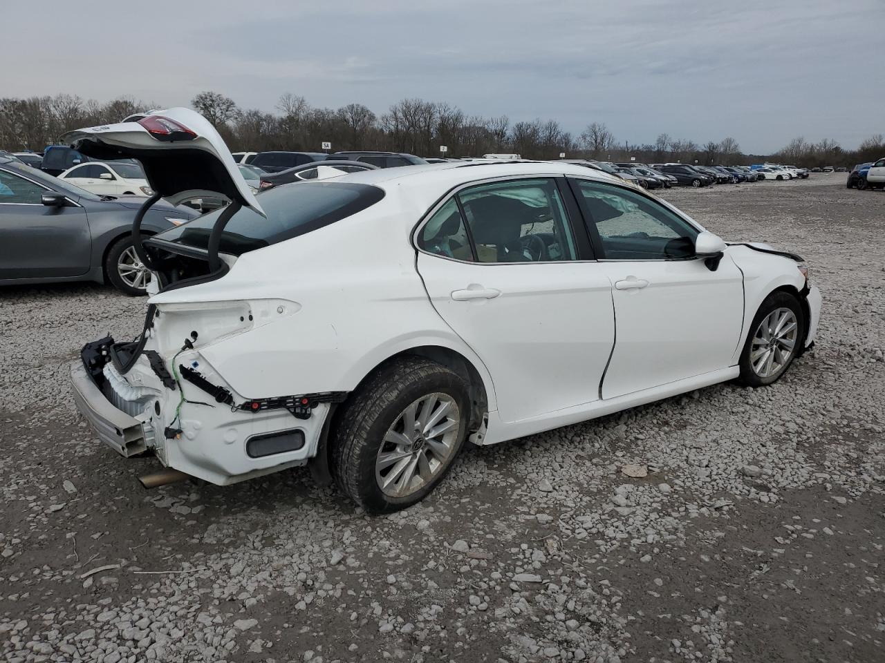 2023 TOYOTA CAMRY LE VIN:4T1C11BK2PU099823