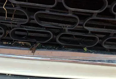 2014 MINI Cooper NONE VIN: