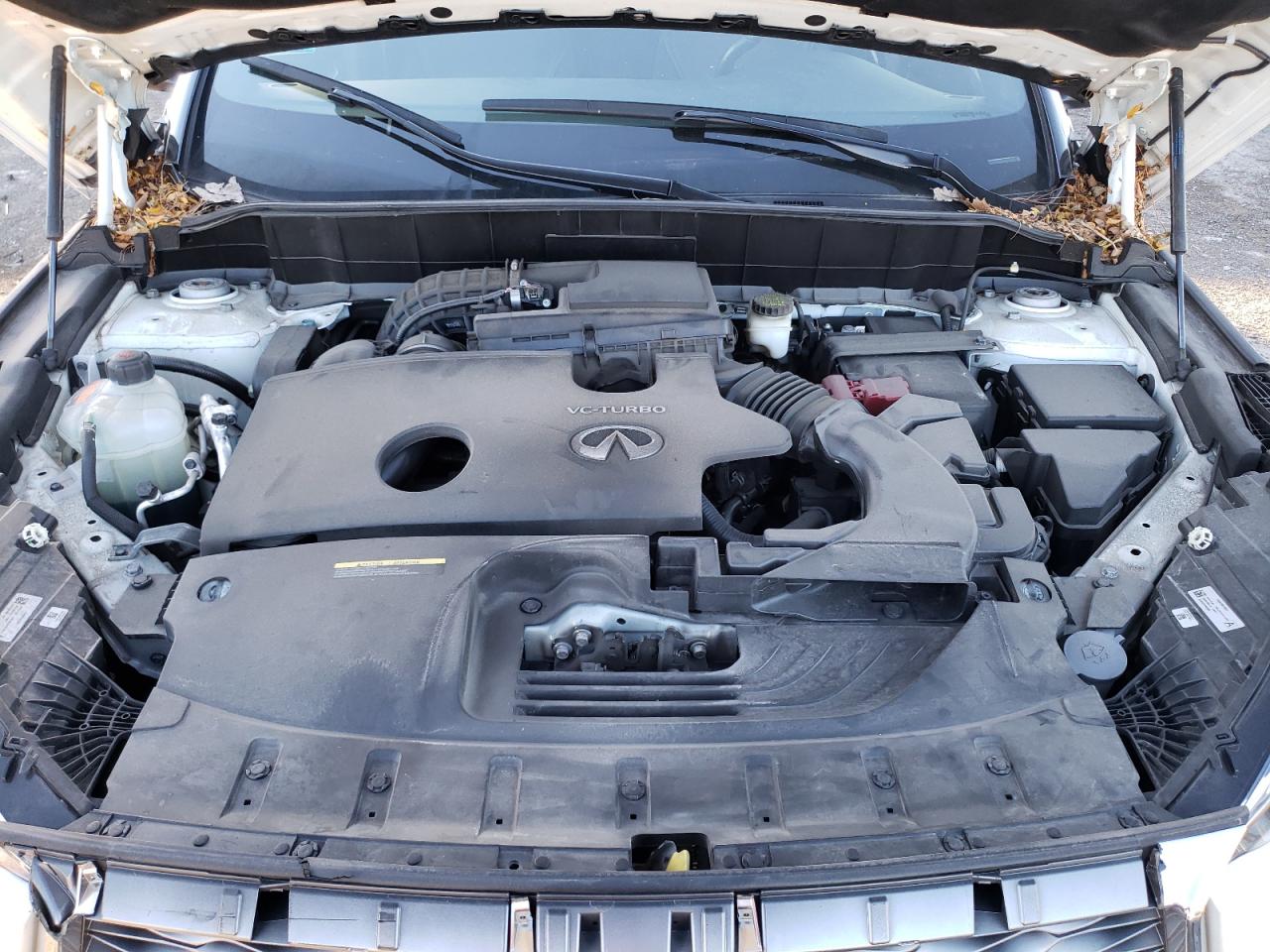 2022 INFINITI QX55 LUXE VIN:3PCAJ5J31NF102228