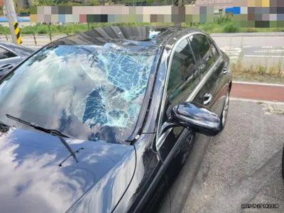 2020 Mercedes-Benz E 300 W1KZF4KB2LA811119 VIN:W1KZF4KB2LA811119