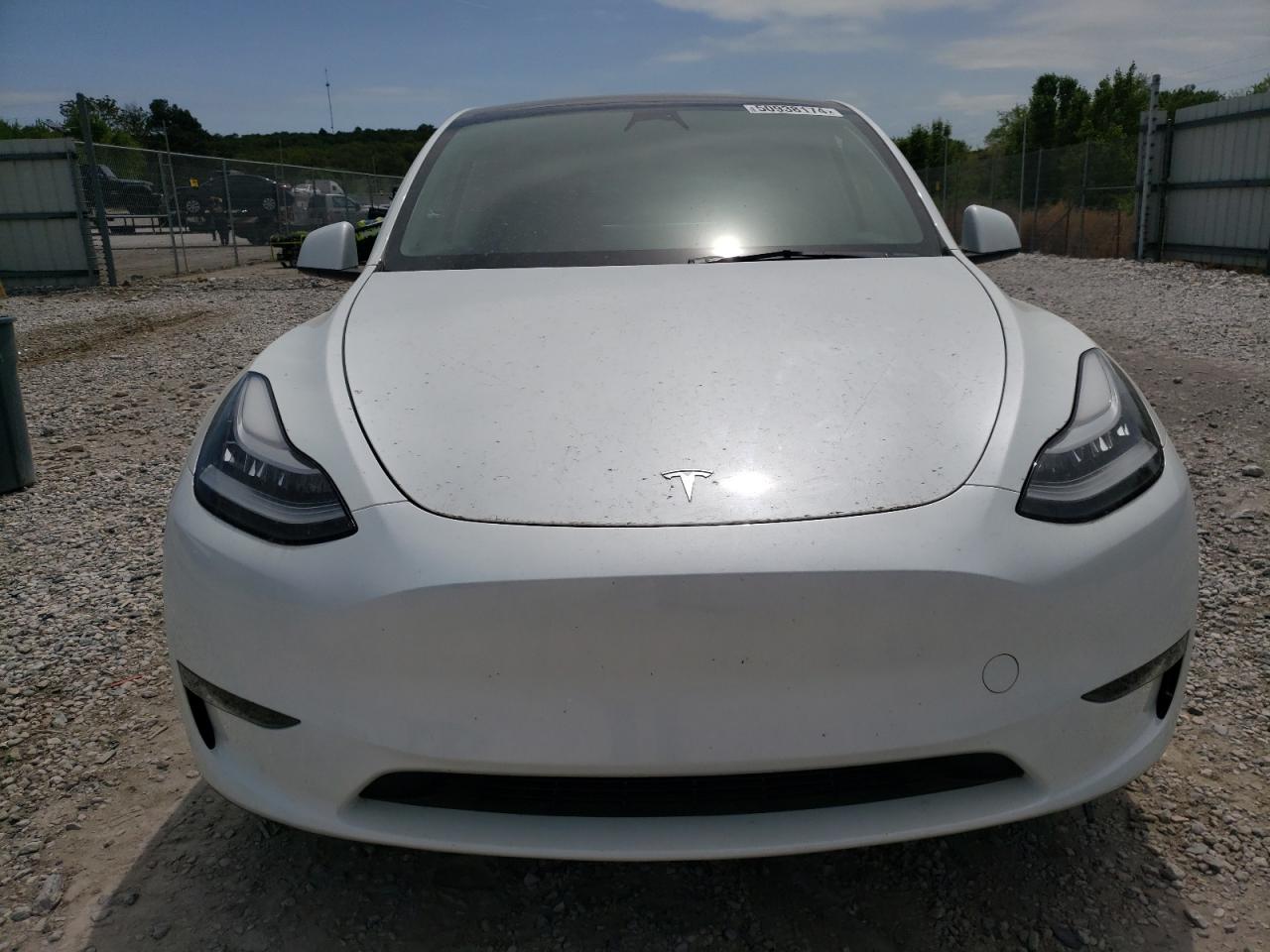 2023 TESLA MODEL Y  VIN:7SAYGDEE8PA063496