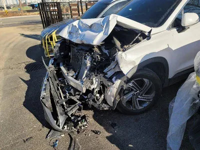 2021 Hyundai Santa FE KMHS381HGMU332250 VIN:KMHS381HGMU332250