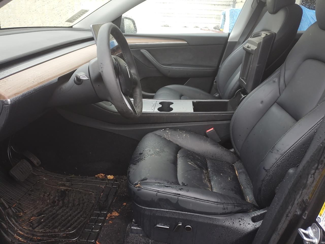 2024 TESLA MODEL Y  VIN:7SAYGDEE0RF990434