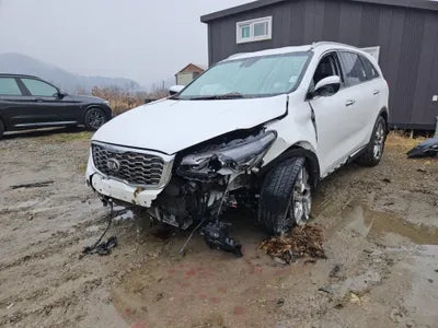 2019 Kia Sorento KNAPH811DLA630874 VIN:KNAPH811DLA630874