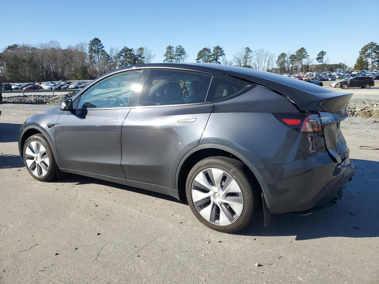 2024 TESLA MODEL Y  VIN:7SAYGDEE6RF995637