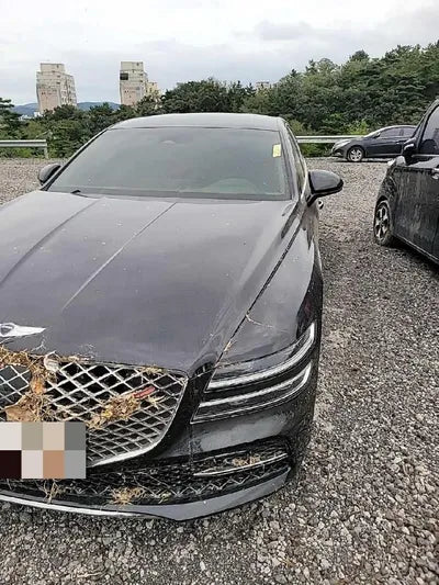 2020 Genesis G80 VIN: