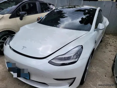 2020 Tesla Model 3 5YJ3E1EAXLF756513 VIN:5YJ3E1EAXLF756513