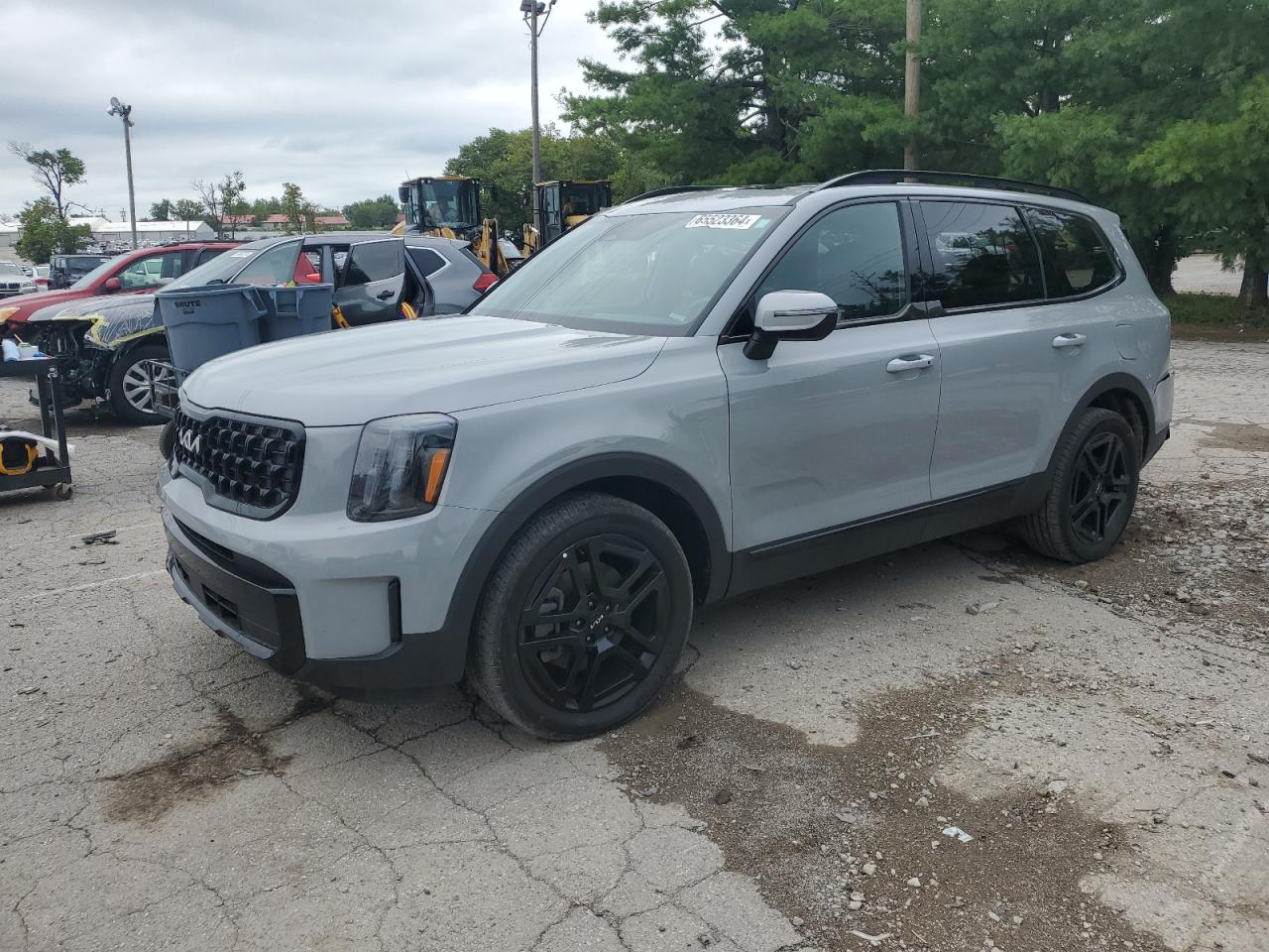 2024 KIA TELLURIDE EX VIN:5XYP3DGC8RG414602