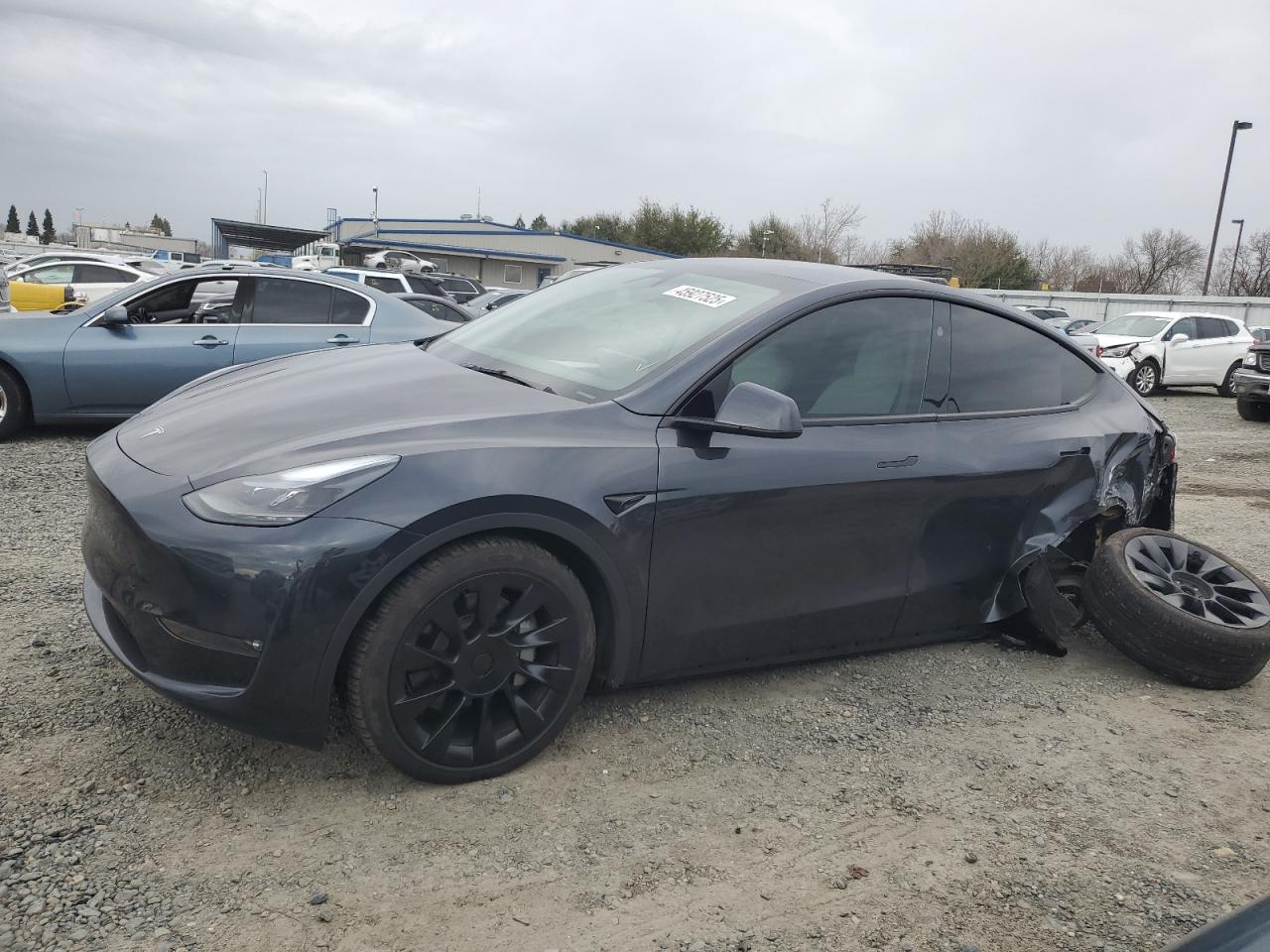2024 TESLA MODEL Y  VIN:7SAYGDEE5RF073327