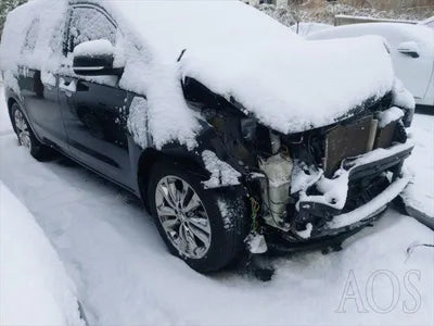 2017 Kia Carnival KNAMC81ABHS318086 VIN:KNAMC81ABHS318086