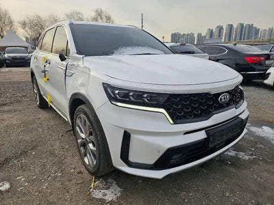 2021 Kia Sorento KNARH81BGMA053240 VIN:KNARH81BGMA053240