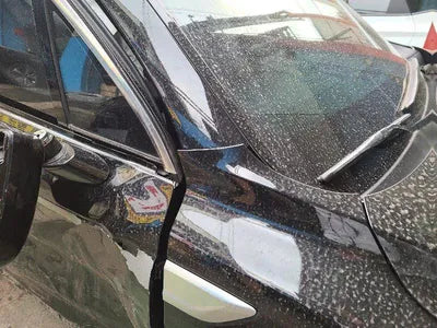 2021 Kia Sorento KNARL81BGMA089889 VIN:KNARL81BGMA089889