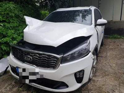 2019 Kia Sorento VIN: