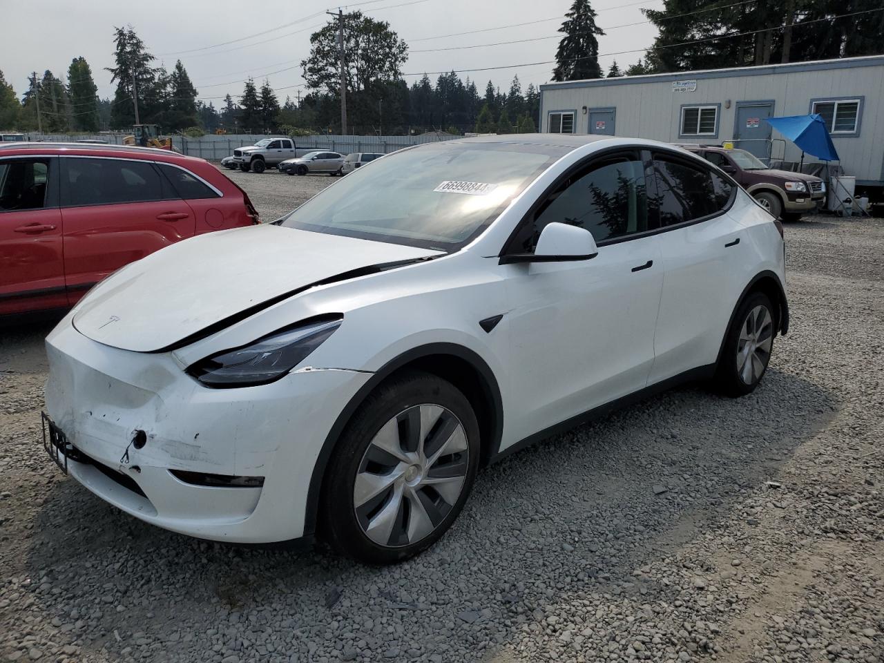 2023 TESLA MODEL Y  VIN:7SAYGDEE9PF910951