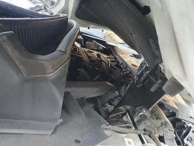 2019 Kia Carnival KNAMB81ABKS556683 VIN:KNAMB81ABKS556683