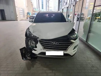 2019 Hyundai Tucson KMHJ5812GKU838229 VIN:KMHJ5812GKU838229