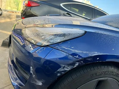 2020 Tesla Model 3 5YJ3E1EB7LF808981 VIN:5YJ3E1EB7LF808981