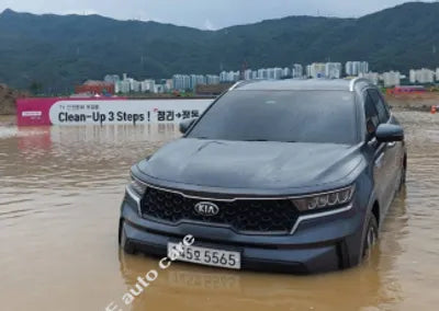 2021 Kia Sorento KNARL81BHMA002814 VIN:KNARL81BHMA002814