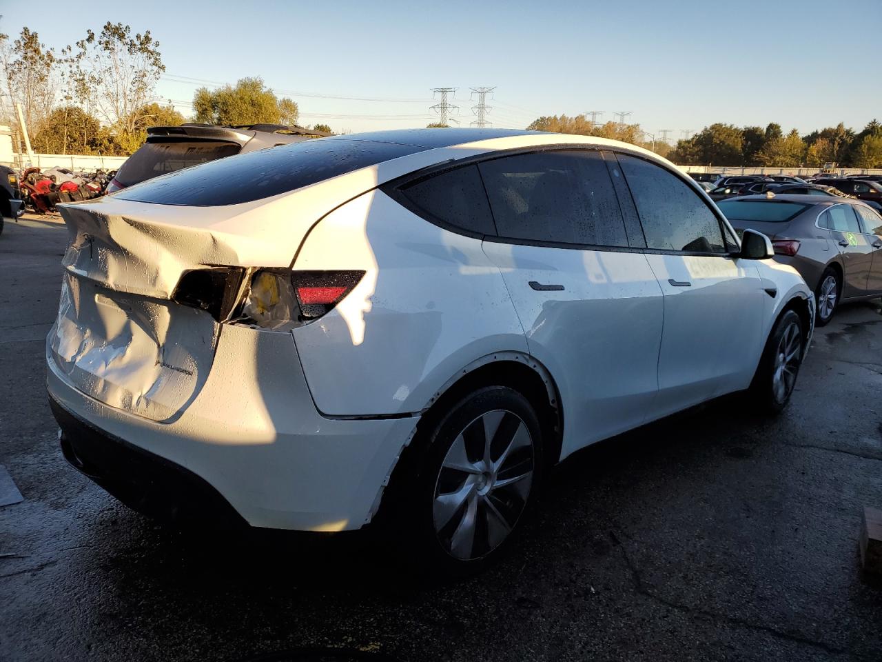 2023 TESLA MODEL Y  VIN:7SAYGAEE0PF772926